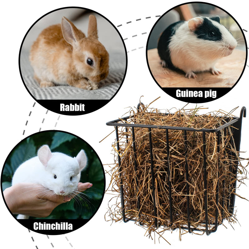 Guinea Pig Hay Feeder，Rabbit Hay Feeder with Heavy-Duty Metal Frame Hay Holder，for Bunny, Guinea Pigs,Chinchillas-6.9x4.7x6.6 inch 1 piece 1piece - PawsPlanet Australia