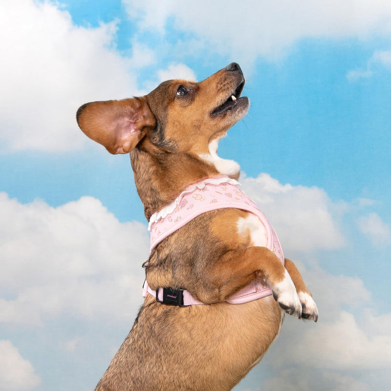 Pinkaholic New York Amara Dog Harness (Over-The-Head) Flower Pattern Fashionable Cute Spring Summer Harness for Small Dogs, Light Pink, Large - PawsPlanet Australia