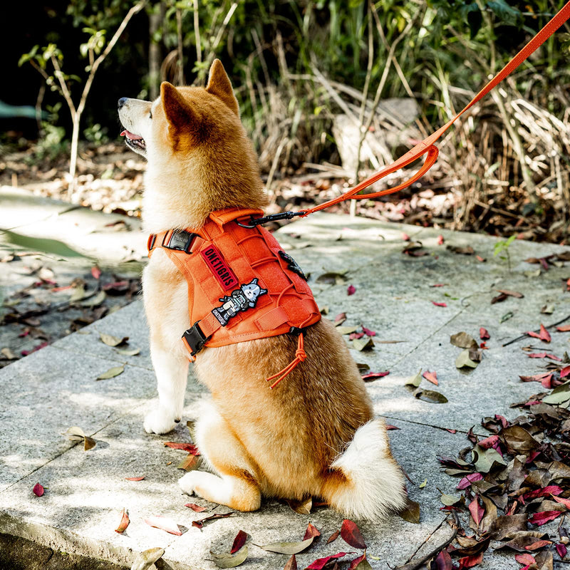 OneTigris Large Tactical Dog Harness Leash Collar Set - PawsPlanet Australia