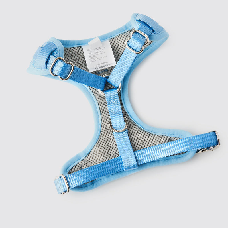 HUGO & HUDSON Tweed Dog Harness Adjustable Soft Padded No Pull Pet Vest with 2 Leads Clips, Blue, XS - PawsPlanet Australia