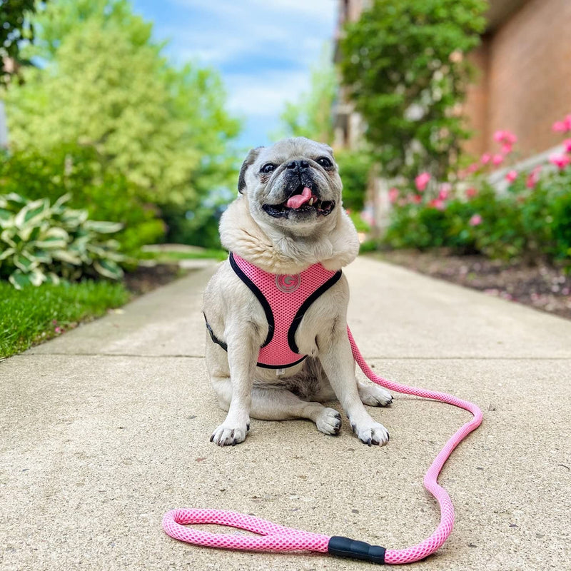 Gooby Mesh Leash - Blue, 4 FT - Breathable Mesh 4 Foot Leash for Small Dogs with Bolt Snap Clasp - On The Go Dog Leashes for Small, Medium, and Large Dogs 4 Feet - PawsPlanet Australia