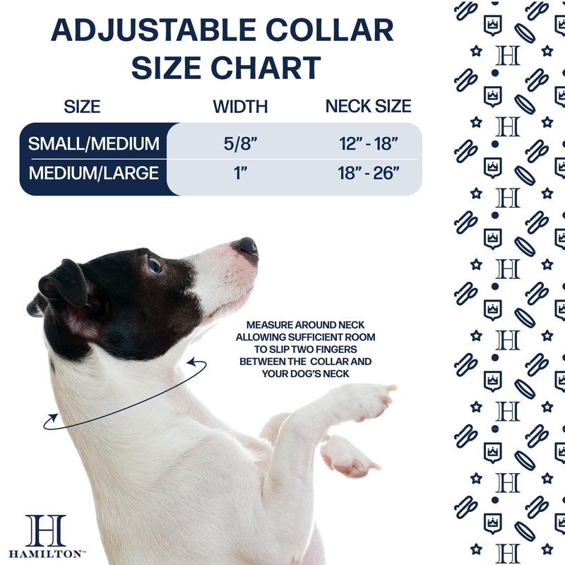 Hamilton Adjustable Nylon Dog Collar, Blue Bandana Ribbon Overlay, Small/Medium