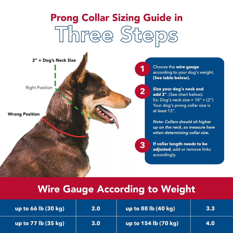 Coastal Pet Titan Dog Prong Training Collar - Rust-Resistant and Prong Metal Training Chain Collar for Dogs - Quality Supplies - 3.3 mm x 20" 3.3 mm x 20" (Pack of 1) - PawsPlanet Australia