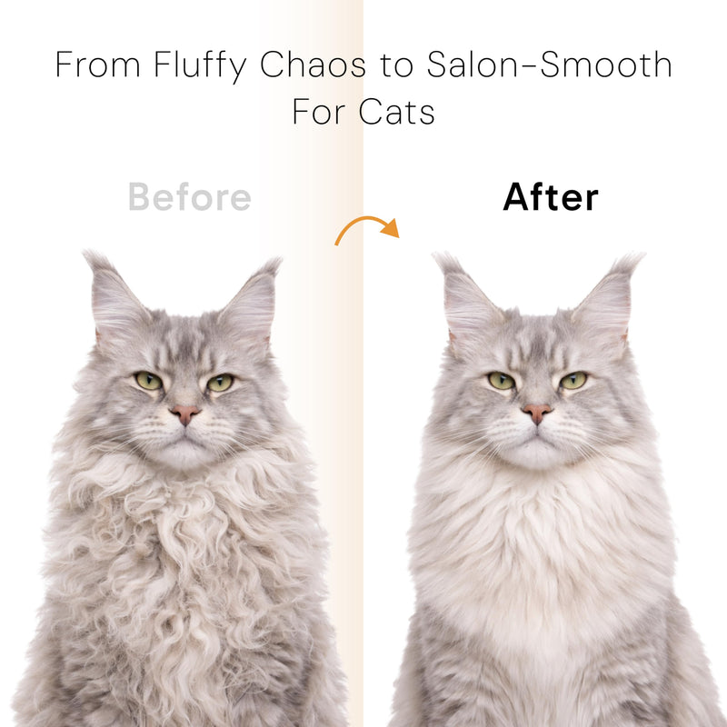 Self Cleaning Slicker Brush for Cats and Dogs | Deshedding Tool for Long and Short Hair | Pet Grooming Brush Reduces Shedding | Cat Comb and Dog Hair Brush (White) Snow White - PawsPlanet Australia