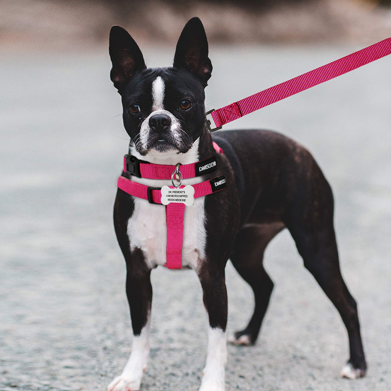 No Pull Dog Harness - Step in Dog Harness and Leash for Small Medium Large Dog - Escape Proof Adjustable Soft Dog Harness Leash Collar Set for Walking Training Hiking Outdoor MEDIUM (chest: 17.3"-23.4" neck: 12"-16") Rose Red