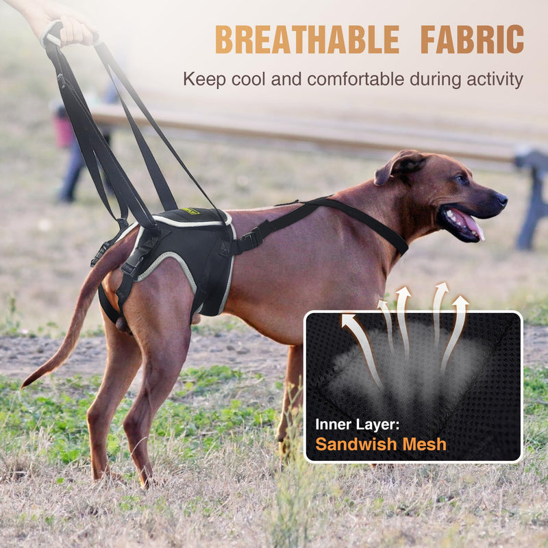 Dog Lift Harness for Extra Large Dogs, Dog Harness with Handle for Lifting, Dog Back Leg Support Harness for Weak Hind Legs to Prevent Dogs from Falling, Breathable and Comfortable, Easy to Wear- XL Hind Leg Sling - PawsPlanet Australia