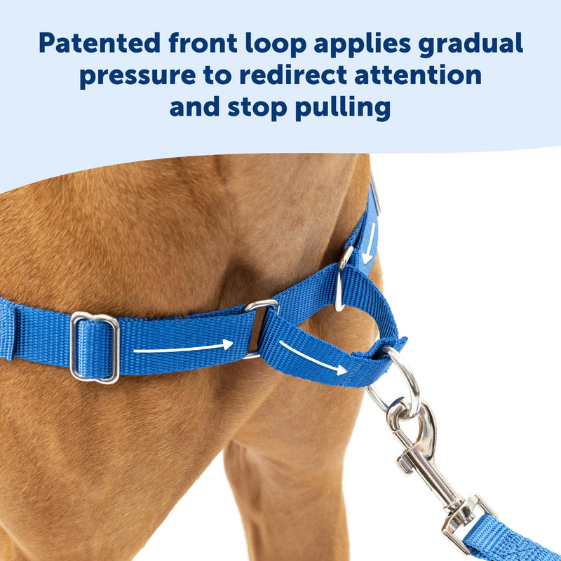 PetSafe Easy Walk No-Pull Dog Harness - The Ultimate Harness to Help Stop Pulling - Take Control & Teach Better Leash Manners - Helps Prevent Pets Pulling on Walks - Small/Medium, Royal Blue/Navy Blue