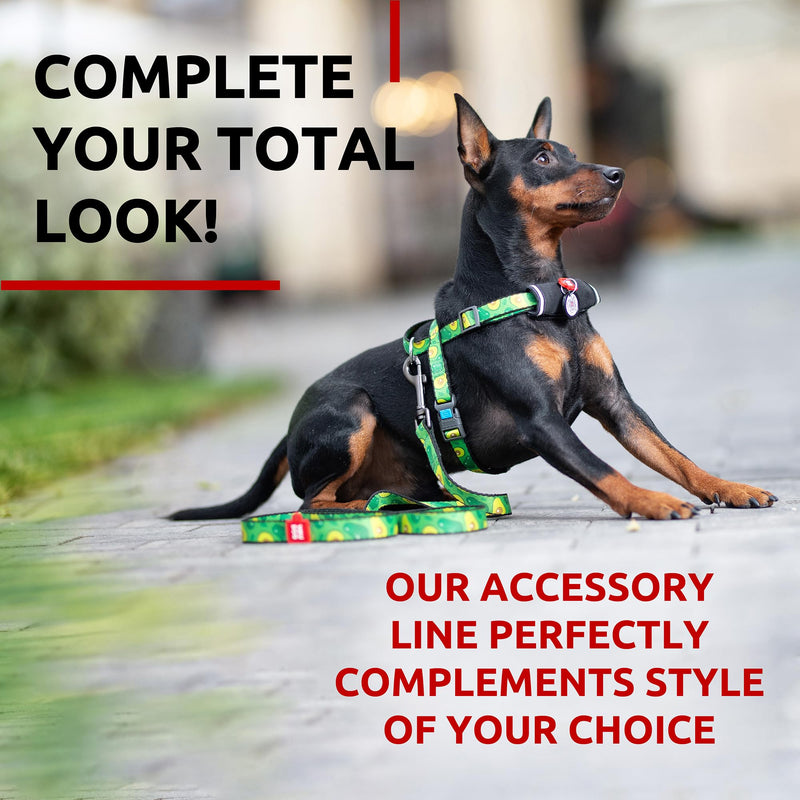 WAUDOG Nylon Dog Leash for Small & Medium Dogs - 4 Ft Heavy Duty Leash for Large Breeds 4 Ft x 3/5" Wide Avocado - PawsPlanet Australia