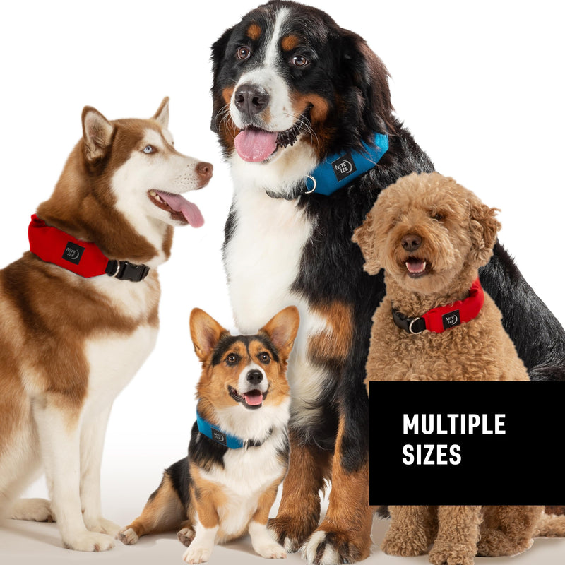 Nite Ize Raddog All-in-One Collar and Leash Combo - Heavy-Duty Dog Collar with Built-in Retractable Leash - 14" to 16" Collar - Blue, Small - PawsPlanet Australia