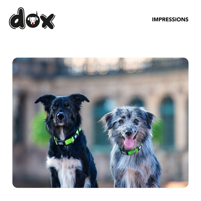 DDOXX Nylon Dog Collar - Strong and Adjustable Collars Dogs, Blueberry pet Dog Collar - Medium (Purple) M - 0.8 x 13.4-19.3 in Purple - PawsPlanet Australia