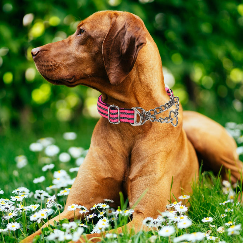 Reflective Martingale Dog Collar with Chain,No-Pull Dog Collar,Choke Dog Collar for Medium to Extra Large Dogs for Training, Walking, Hunting (Pink M) P Medium (12"-17")