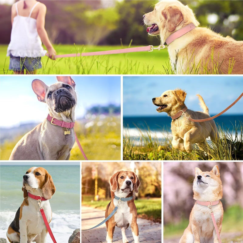 Beirui Soft Padded PU Leather Dog Collar and Leash Set, Durable Dog Leash and Collar Set with Metal Buckle, Breathable Pet Collars with 4FT Leash for Large Dogs(Blue, Neck 16-21") XL:Fit Neck 16-21"(48-75lbs) Blue - PawsPlanet Australia