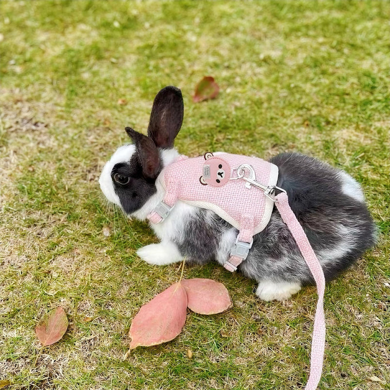 2-Pack Rabbit Harness and Leash Set – Adjustable Small Animal Vest Harness with Safety Buckle – Breathable & Lightweight – Ideal for Rabbits, Ferrets, Guinea Pigs, and Cats (Pink) Pink - PawsPlanet Australia