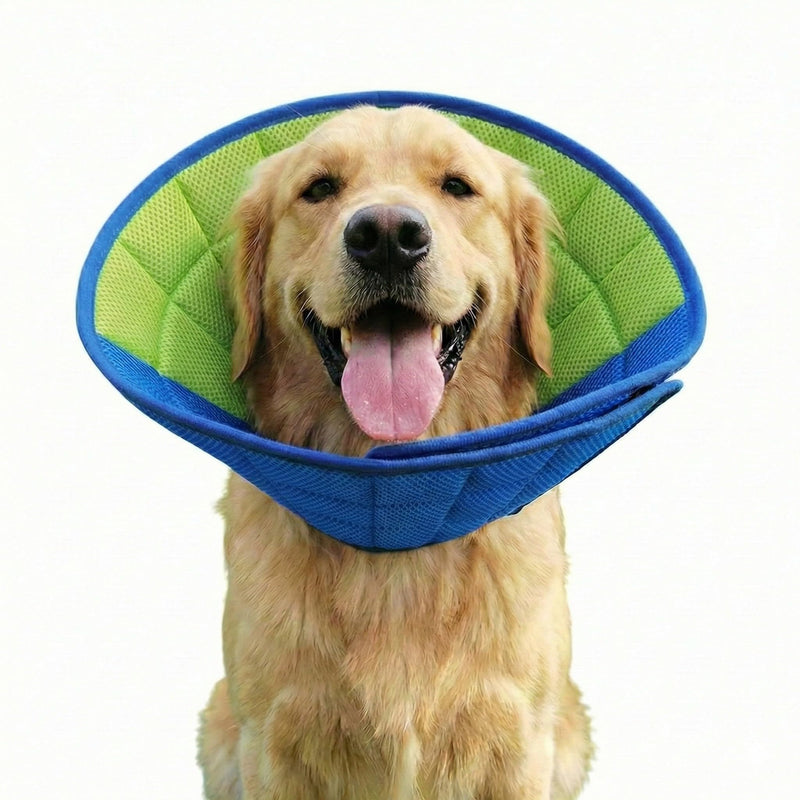 Dog Cone Collar (XL) XL
