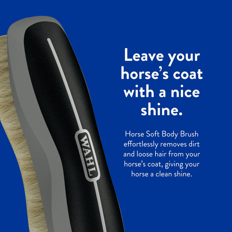 WAHL Professional Animal Equine Soft Body Horse Brush - Black - PawsPlanet Australia