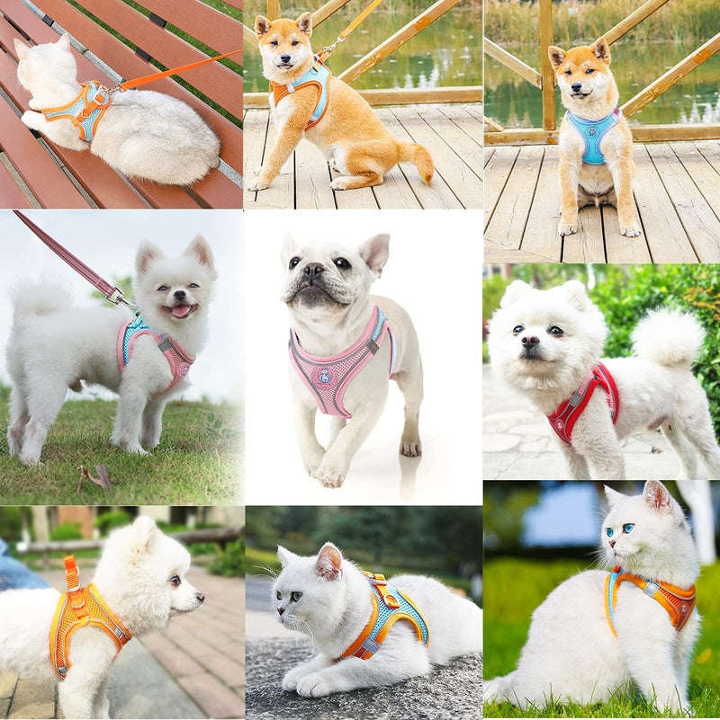 Small Dog Harness,Puppy Harness and Leash Set for Walking Escape Proof,Comfortable Air Mesh Dog Vest Harness with Reflective Strip, Step-in Outdoor Pet Vest for Dog Breeds Large (Pack of 1) Red/Pink - PawsPlanet Australia