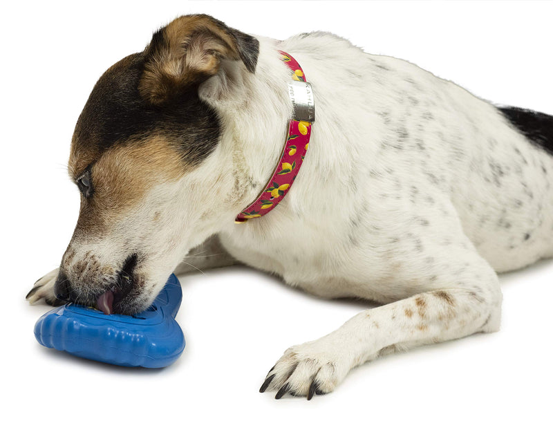 PetSafe Chilly Penguin - Freezable Dog Toy for Small Dogs - Fill and Freeze - Frozen Dog Toy to Fill With Treats - French Vanilla Scented - Interactive Pet Puzzle for Boredom/Separation Anxiety, Small - PawsPlanet Australia