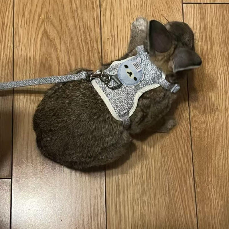 2-Pack Rabbit Harness and Leash Set – Adjustable Small Animal Vest Harness with Safety Buckle – Breathable & Lightweight – Ideal for Rabbits, Ferrets, Guinea Pigs, and Cats (Grey) Grey - PawsPlanet Australia