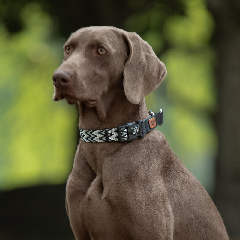 ANDA Martingale Dog Collar with Quick Release Buckle – Adjustable Training No Slip Dog Collar, Daily Use Walking and Training (Large) Large - PawsPlanet Australia