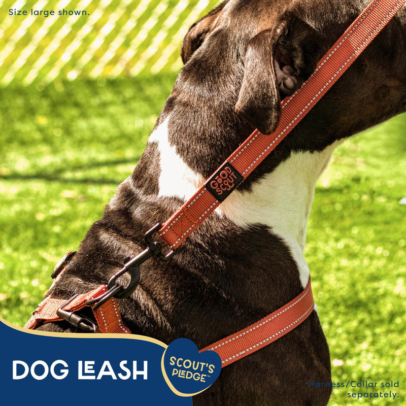 Good Scout 5' Heavy Duty Dog Leash for Small Dogs, Durable Walking & Training Leash for Puppies & Adult Dogs, D-Ring for Waste Bag Storage, Brick - PawsPlanet Australia
