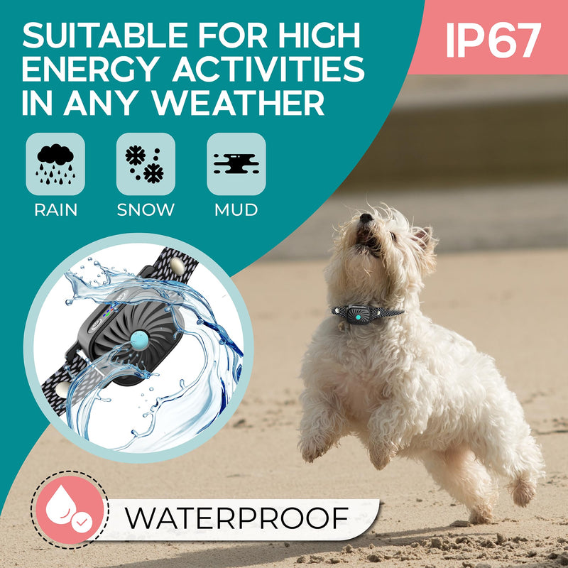 2 Pack Bark Collar for Small Dogs, No Shock Anti Bark Collar, Rechargeable Anti Barking Collar w/2 Vibration & Beep Modes, Waterproof Shockless Smart Dog Stop Barking Control Device 2 Pack Black-2Pack