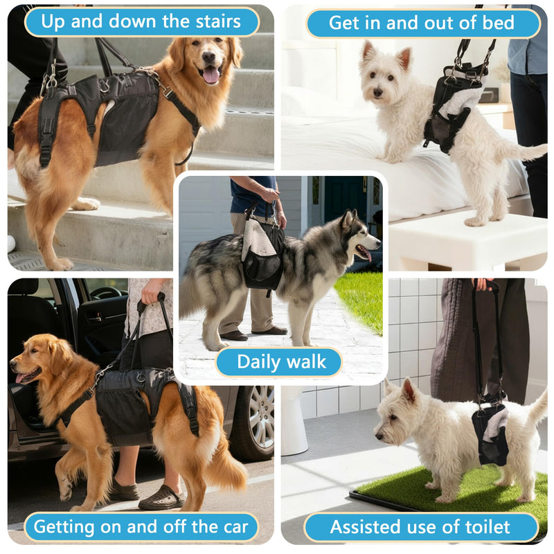Dual-use Dog Lift Rehab Hareness Canine Sling for Large Pooch Rear Legs and Hip Support,Adjustable and Soft Brace Strap for After ACL Surgery, Helps Senior, Injured and Disabled K9. - PawsPlanet Australia