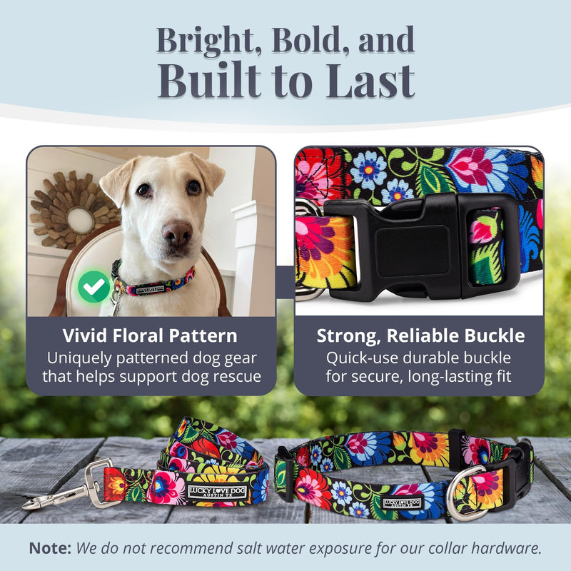 Lucky Love Dog - Easy Click Buckle Dog Collar with Leash Set Combo, Durable & Comfortable for Male & Female Dogs, Pet Collar for Small to Large Dogs, Secure Fit - Blackbird Combo, Small Small | 10-15" Blackbird Collar/Leash Combo - PawsPlanet Australia