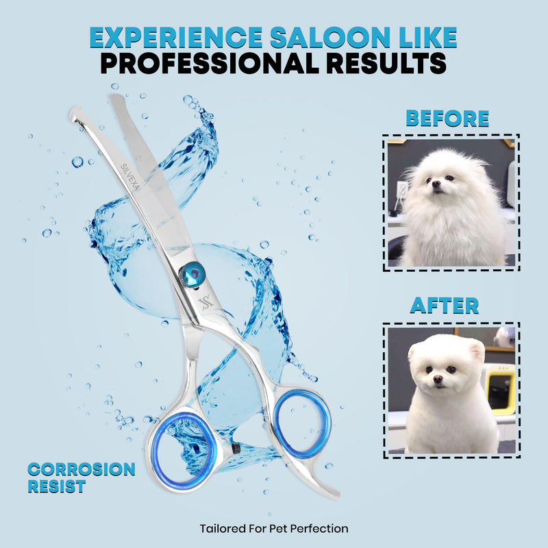 6.5” Curved Pet Grooming Scissors – Professional Dog Hair Cutting Shears with Blue Adjustable Tension Screw & Comfort Grip – Ideal for Face, Ears, Paws & Finishing - PawsPlanet Australia