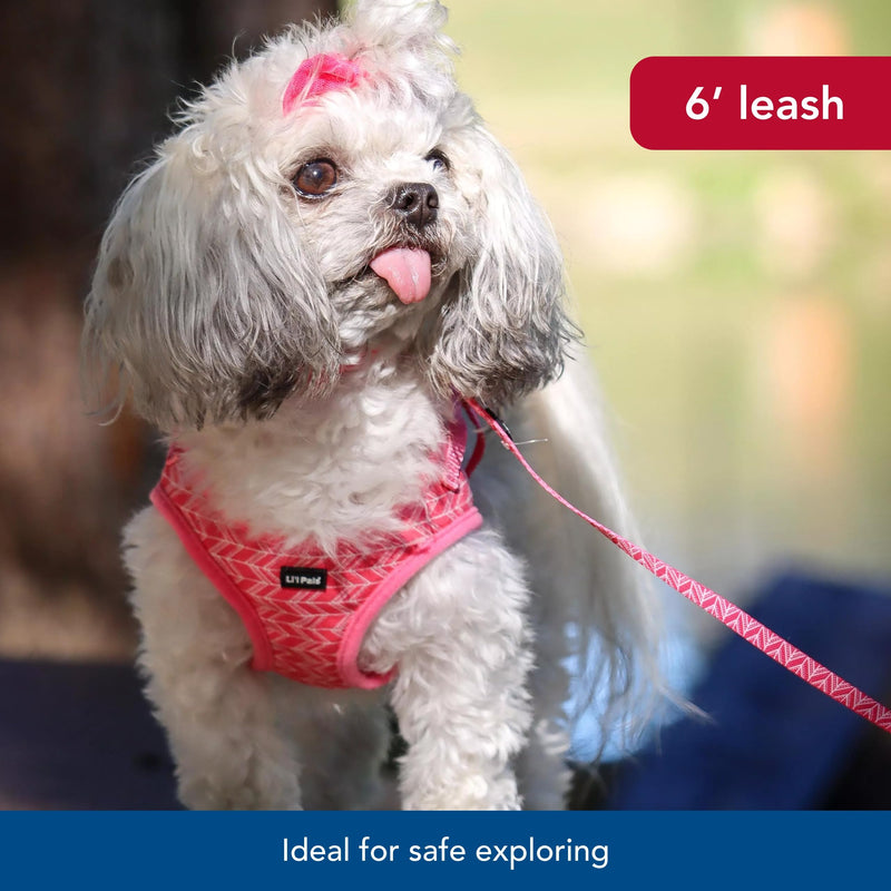 Coastal - Li’l Pals Patterned Dog Leash with E-Z Snap - Snap onto Dog Collars and Harnesses - Light Blue Paw - 3/8” x 6’ 3/8" x 06' (Pack of 1) - PawsPlanet Australia