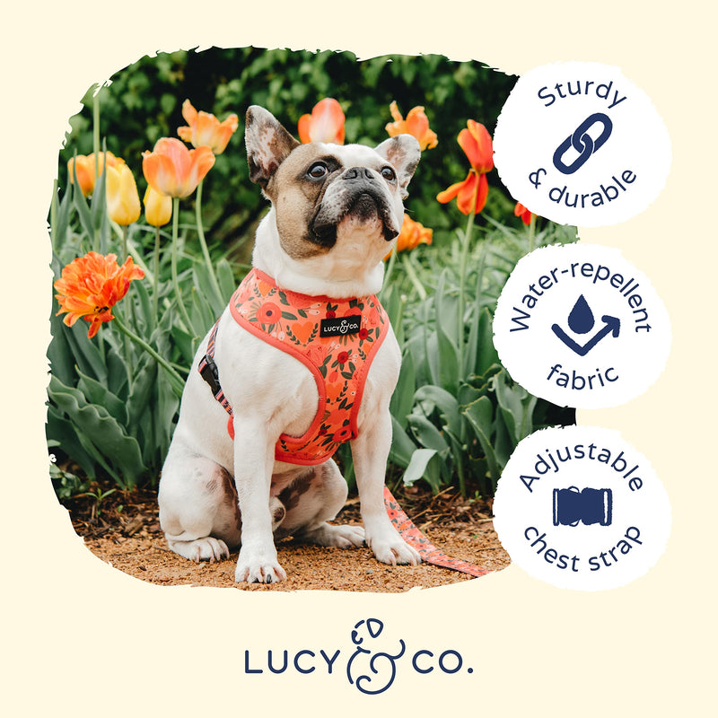 Lucy & Co. Reversible Dog Harness Walking Halter - Best Designer Pet Harnesses for Extra Small Medium Large XL Dogs Plus Pug Breeds - Padded Adjustable Puppy Vest for Easy Walking X-Large The Posy Pink Reversible Dog Harness - PawsPlanet Australia
