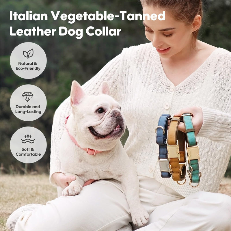 WHIPPY Vegan Leather Dog Collar No Slip Martingale Dog Collar with Quick Release Metal Buckle for Large Medium Small Dogs,Green S:Fit 11-13" Neck green