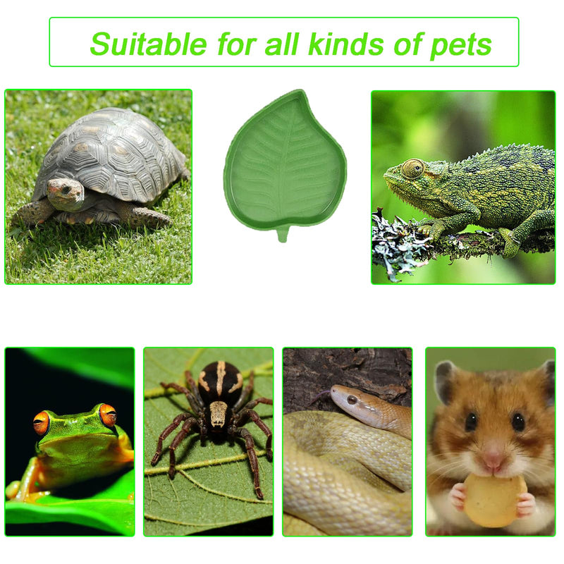 3PCS Tortoise Food Dish with Ramp Leaf Tortoise Food Water Bowls Reptile Food Water Bowls Amphibians Habitat Accessories for Horned Frogs Lizards Fit for Bath - PawsPlanet Australia