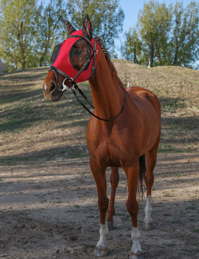 Horse Fly Mask with Ears, UV Protection Fly Mask for Horses, Elasticity Fly Mask with Big Mesh Eye Covers, Snug Fitting Comfortable Breathable Lightweight Fly Mask Horse Rose Red Cob Medium - PawsPlanet Australia