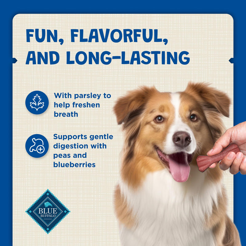 Blue Buffalo Dental Bones Mini Natural Dental Chew Dog Treats Bag Value Pack Unflavored 1.69 Pound (Pack of 1) - PawsPlanet Australia