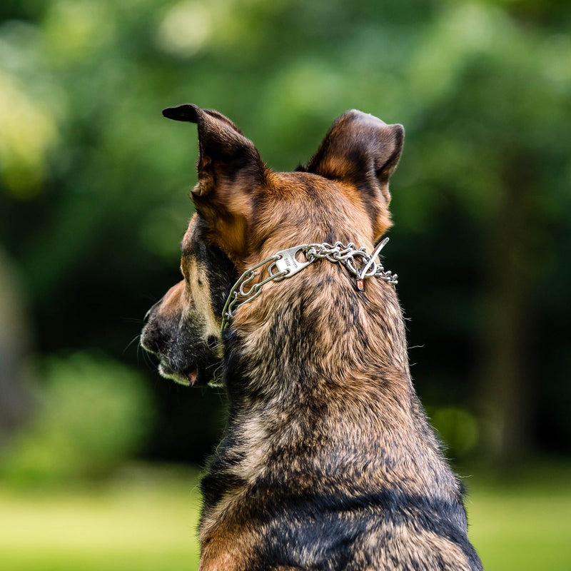 Herm. Sprenger Ultra-Plus Prong Dog Training Collar, Anti Pull Training Pinch Collar, (Stainless Steel, 3.0 mm Short Links x 18" Neck Size; 19-20" Chain Length) - Toggle Version Stainless Steel