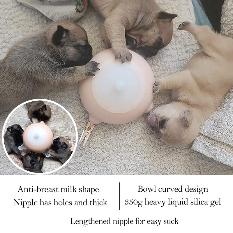 Puppy Feeder Puppy Milk Feeder Puppy Nursing Station Puppy feeders for Multiple Puppies Puppy Milk replacer Doggie Bubble Dongdong pet (S size bowl (Kitten/Toy Puppy), Pink) S size bowl (Kitten/Toy Puppy) - PawsPlanet Australia