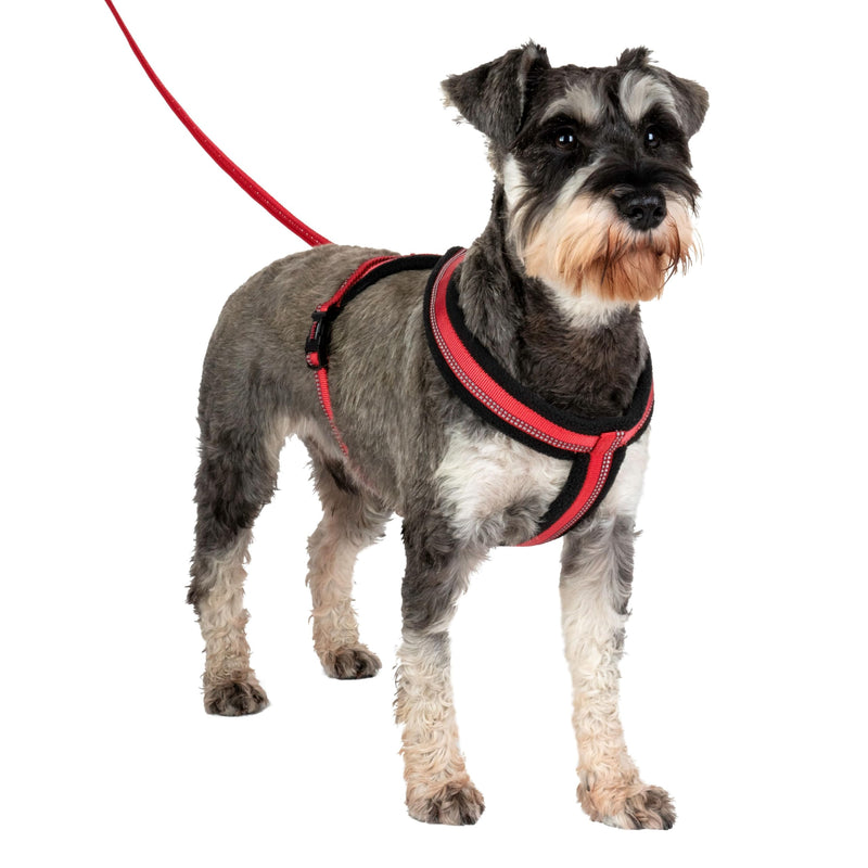 HALTI Comfy Harness - Lightweight, Fleece-Lined, Reflective & Adjustable Dog Harness, Front & Back Ring for a Dog Leash, Great for Puppy Walks. Suitable for Small Dogs and Puppies (Size Small) - PawsPlanet Australia