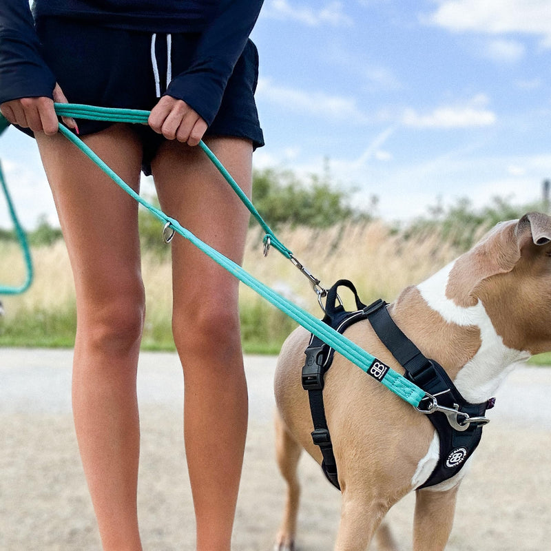 BullyBillows Double Ended Dog Lead | Multi-Functional Lead | Medium or Long Length for Obedience Work or Distance Training | Khaki 6.56 feet