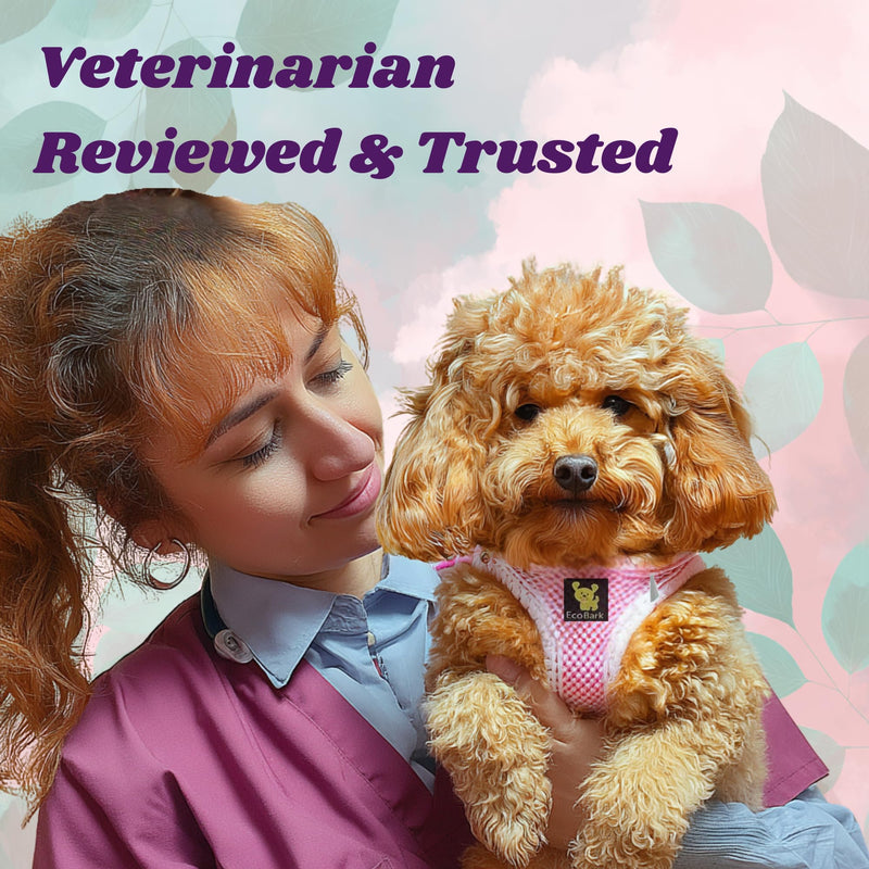 EcoBark Premium Quality Dog Harness - Teacup Dog Harnesses - Step in Halter Vest - Eco-Friendly Luxury Soft Mesh Halter - No Pull Mini Chest Body Collar - for Puppy & Toy Breeds (XXS, Baby Pink) XXS- 4 to 5 lbs- Chest Up to 11 in (Pack of 1) - PawsPlanet Australia