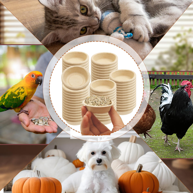 200 Pcs 1oz Gecko Feeding Cups Crested Gecko Food and Water Paper Feeding Cups Mini Dish Bowls for Lizards Reptiles Small Pets - PawsPlanet Australia