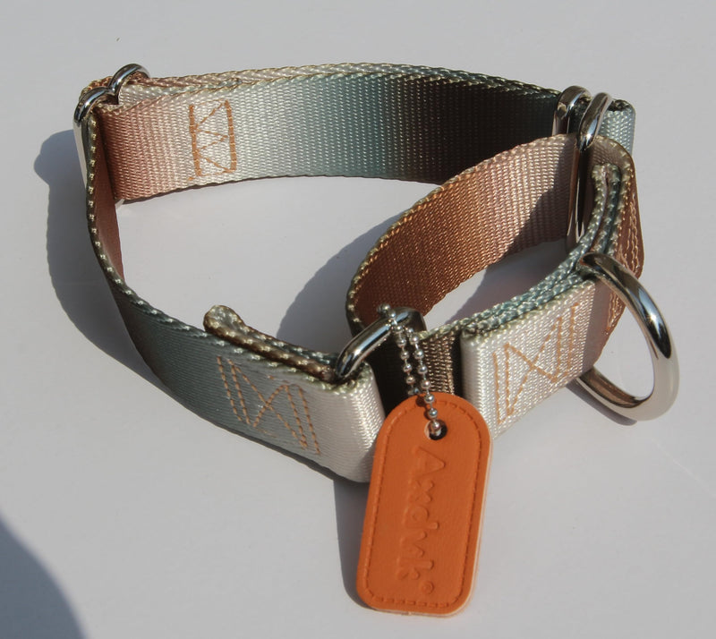 Martingale Dog Collar Colorful Gradient Fashionable - Anti-Escape Soft Durable Pets Collar for Walking Training Outdoor Daily Use -Medium, Silver Brown Medium: 14" -21" Silver to Brown Gradient - PawsPlanet Australia