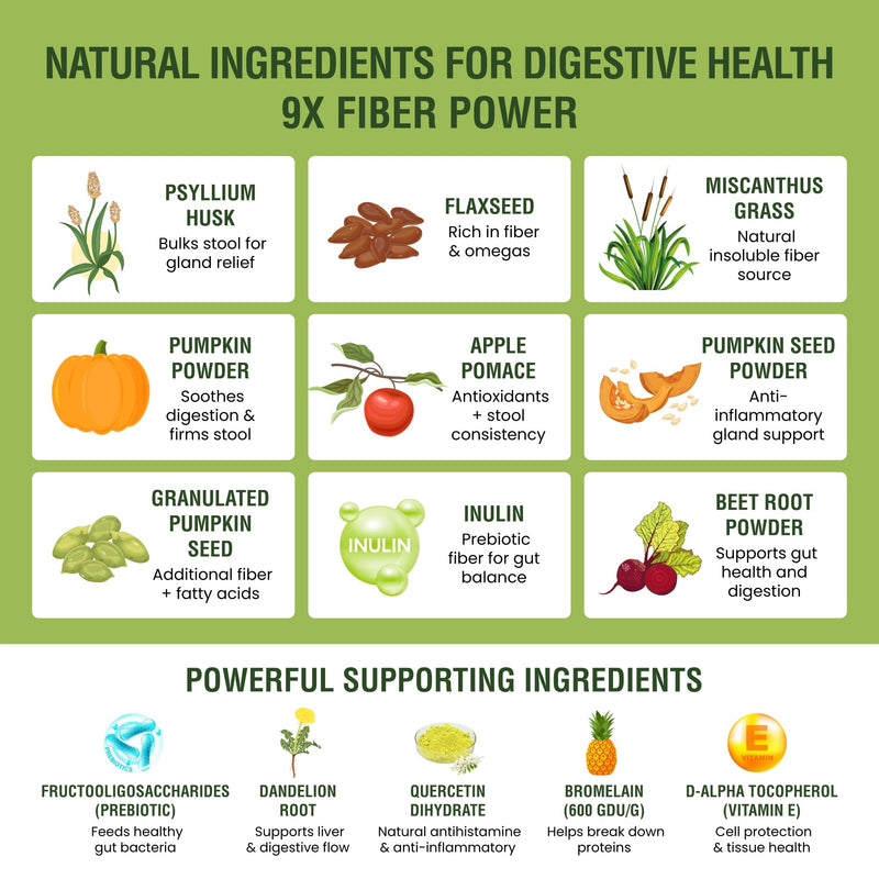 Fiber for Dogs – 9X Fiber Power - Digestive Supplement Powder with 14 Natural Ingredients – Supports Firm Stools & Gut Health Treatment– 60 Scoops