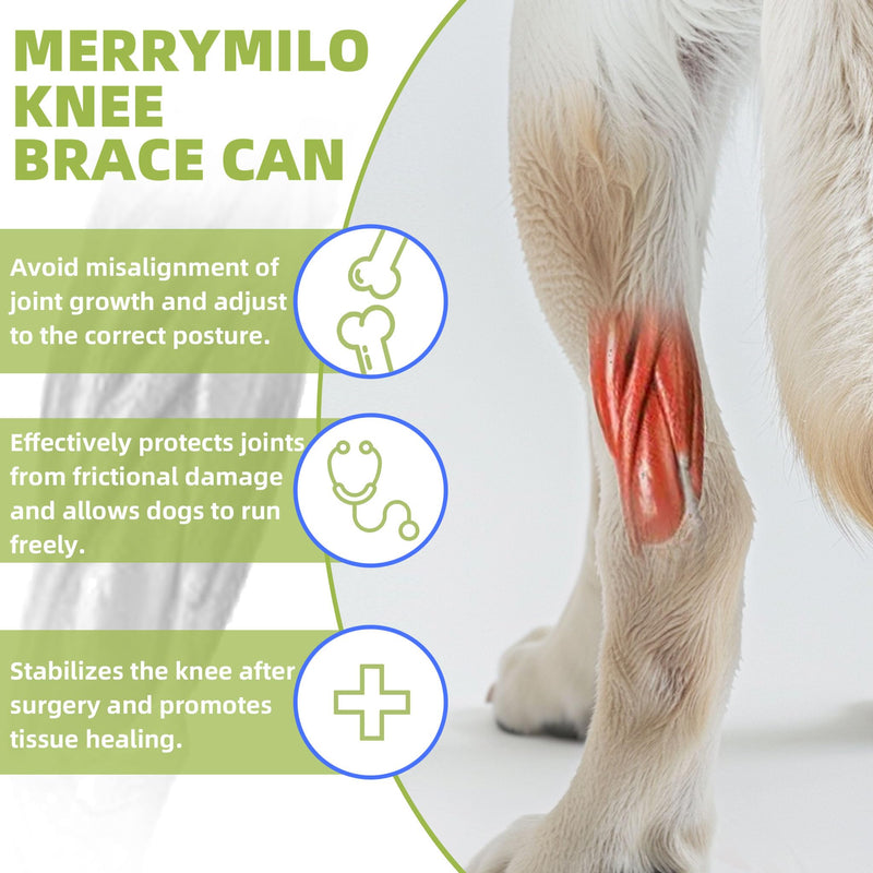 Dog Leg Braces for Back Leg Dog ACL Brace for Torn and Back Hind Rear Legs ACL Tear, Dog Leg Brace for Hip Dysplasia, Dog Arthritis, Luxating Patella(Size XL)