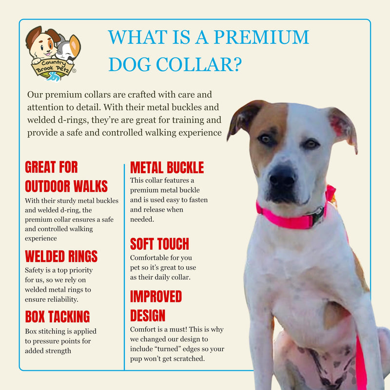 Country Brook Petz - Premium Nylon Dog Collar with Metal Buckle for Small Medium Large Breeds - 10+ Warm Colors (Medium, 3/4 Inch, Hot Pink) Medium (Pack of 1)