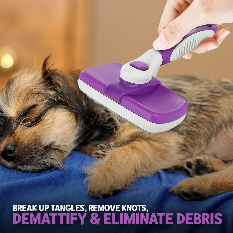 POODLIE Dog Grooming Brush, Self Cleaning Slicker Brush for Dogs and Cats - Removes Tangles, Loose Hair - Poodles, Pomeranians, Yorkies, Soft Pins - Purple 1 Count (Pack of 1) - PawsPlanet Australia