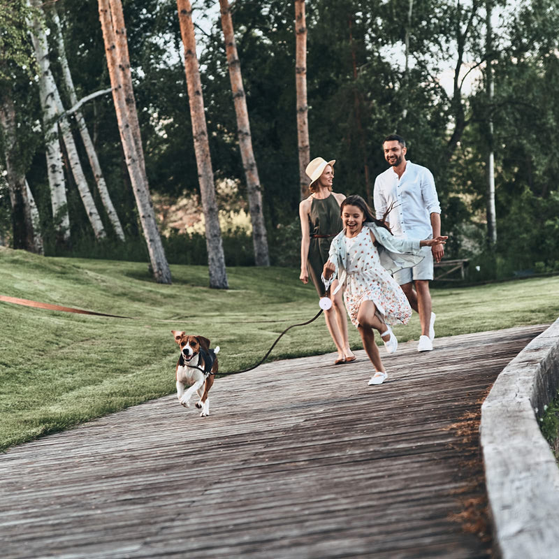 Retractable Dog Leash for Small and Medium Dogs up to 22lbs with 9.8ft Strong Nylon Tape, Hands Free, Portable and Lightweight Leash with Wrist Strap, One-Hand Brake, Tangle Free (White) White - PawsPlanet Australia