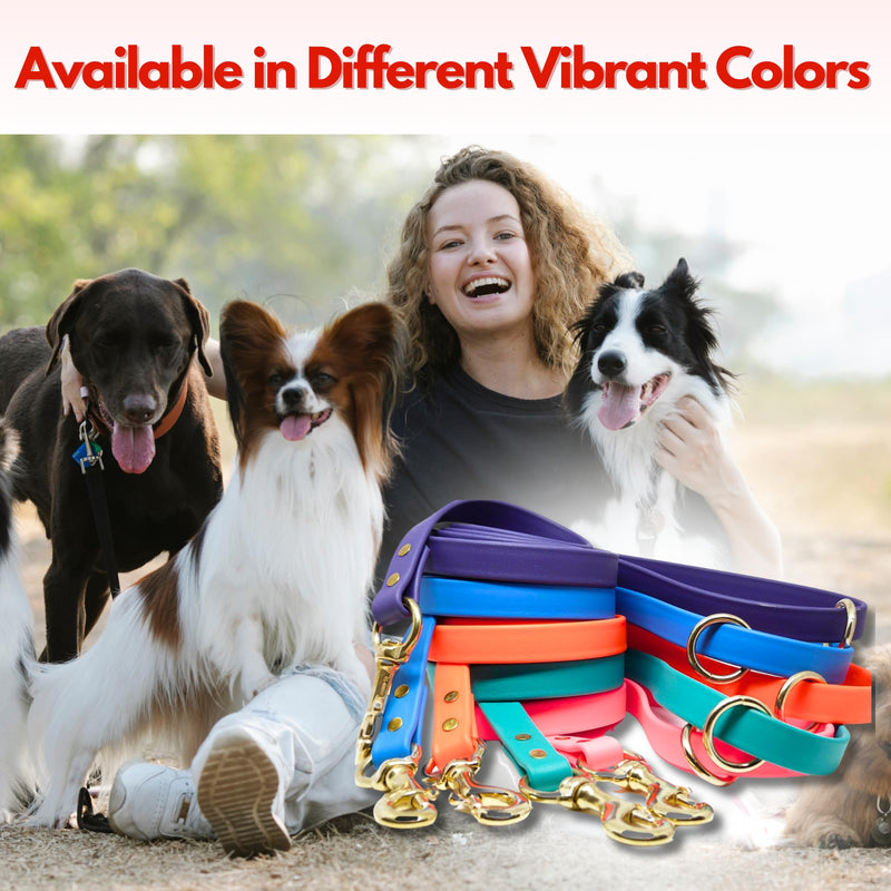 Gummy Dog Leash, Biothane, Dog Training Leash, Made in The USA, 4 Feet, Various Sizes & Colors (1/2, Brown) 1/2 - PawsPlanet Australia