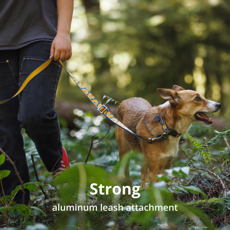 Ruffwear, Crag Dog Collar, Stylish Adventure Collar with Premium Reflective Design, Quick Release Buckle, Lightweight All-Day Comfort, Alpine Dusk, 11"-14" 11"-14" - PawsPlanet Australia