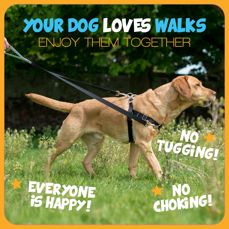 2 Hounds Design Freedom No Pull Dog Harness, Adjustable Harness, Easy Walking & Comfortable Control, Fits Small, Medium & Large Dogs, Solid Colors, Made in USA, 1" MD, Navy 1" MD (Chest 24" - 28")