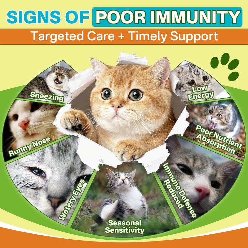 Puyrzoe L-Lysine for Cats Drops – Sneezing, Runny Nose & Watery Eyes Relief, Liquid Cat Lysine Supplement for Immune & Respiratory Support with Taurine & Vitamins, to Boost Energy & Appetite, 60 mL